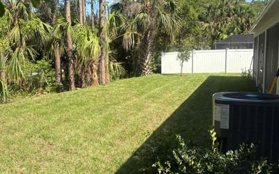 Photo of Vincent W.'s yard after getting lawn care in Palm Coast, FL