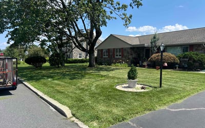 Photo of Stephanie S.'s yard after getting lawn care in Monroe, GA