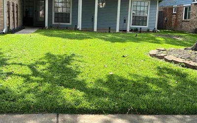 Photo of Megan H.'s yard after getting lawn care in League City, TX