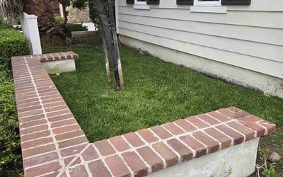 Photo of Stephen G.'s yard after getting lawn care in San Diego, CA