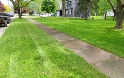 Photo of Vasel J.'s yard after getting lawn care in Fairport, NY