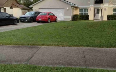 Photo of Jeanette W.'s yard after getting lawn care in Huntington Station, NY
