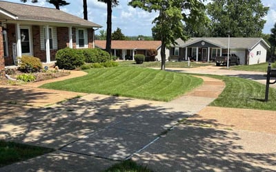 Photo of Darlene W.'s yard after getting lawn care in Westlake, OH