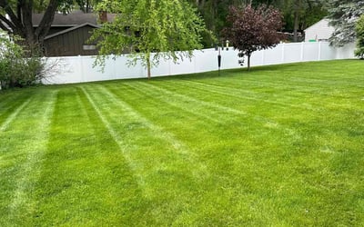 Photo of Paula T.'s yard after getting lawn care in Eden Prairie, MN