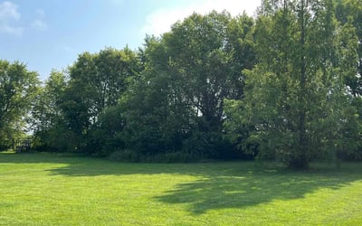 Photo of Samuel M.'s yard after getting lawn care in Noblesville, IN