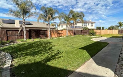 Photo of Patrick Q.'s yard after getting lawn care in Elk Grove, CA