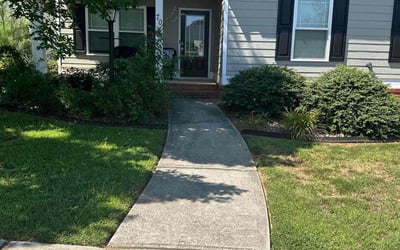 Photo of James H.'s yard after getting lawn care in Covington, GA