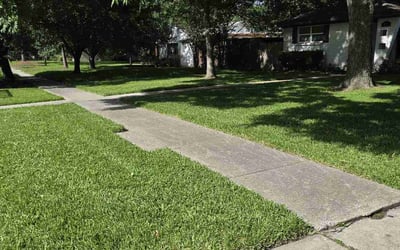 Photo of John B.'s yard after getting lawn care in Stafford, TX