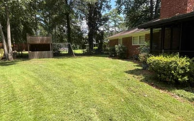 Photo of Nasrin O.'s yard after getting lawn care in Murrieta, CA