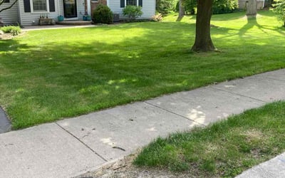 Photo of Gaby G.'s yard after getting lawn care in Victor, NY