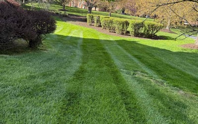 Photo of Sherri L.'s yard after getting lawn care in Annapolis, MD