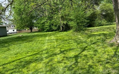 Photo of Jonathan C.'s yard after getting lawn care in Delaware, OH