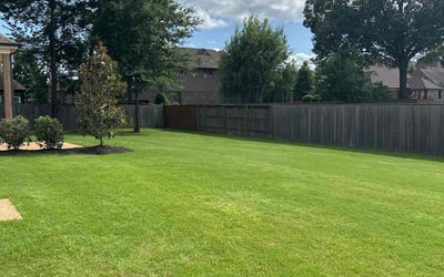 Photo of Sylvia B.'s yard after getting lawn care in Glendale, AZ
