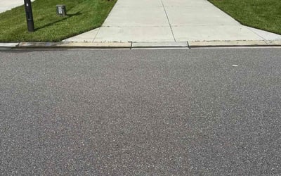 Photo of Jacqueline D.'s yard after getting lawn care in Odessa, FL