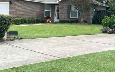 Photo of Mike S.'s yard after getting lawn care in Pace, FL