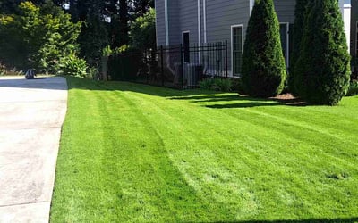 Photo of Debra L.'s yard after getting lawn care in Hamilton, OH