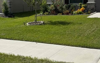 Photo of Kevin A.'s yard after getting lawn care in Euless, TX