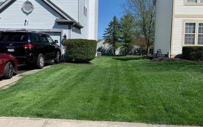 Photo of Joanne T.'s yard after getting lawn care in New Lexington, OH