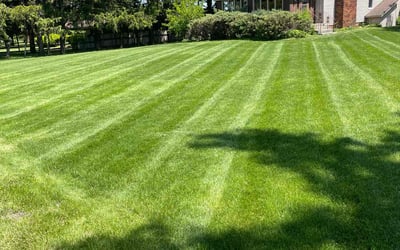 Photo of Bisi A.'s yard after getting lawn care in New Haven, IN