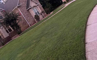 Photo of CYLE B.'s yard after getting lawn care in Hampton, GA