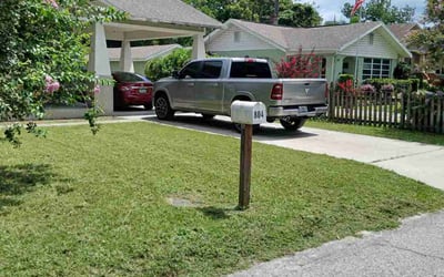 Photo of Gloria S.'s yard after getting lawn care in College Station, TX