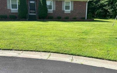 Photo of Shalon P.'s yard after getting lawn care in Bristol, VA