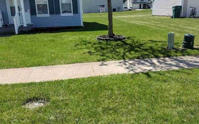 Photo of Sonya H.'s yard after getting lawn care in Steubenville, OH