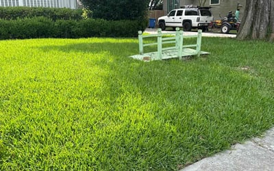 Photo of Lisa C.'s yard after getting lawn care in Fayetteville, GA