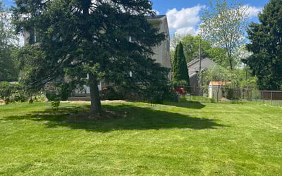 Photo of Melissa F.'s yard after getting lawn care in Blue Bell, PA