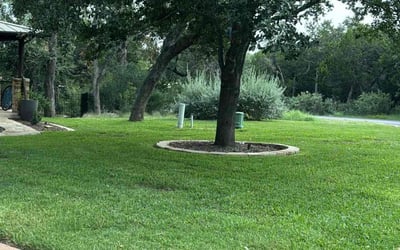 Photo of Cathrine A.'s yard after getting lawn care in Wimberley, TX