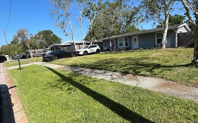 Photo of Ross M.'s yard after getting lawn care in Tampa, FL