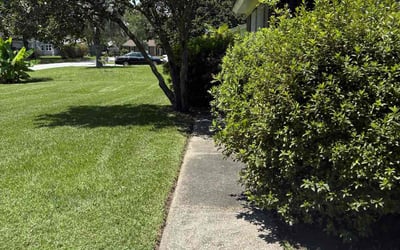 Photo of Jennifer B.'s yard after getting lawn care in Milford, MA