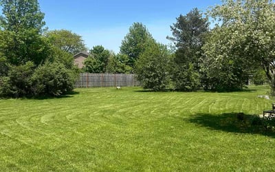Photo of Melissa F.'s yard after getting lawn care in Massapequa, NY