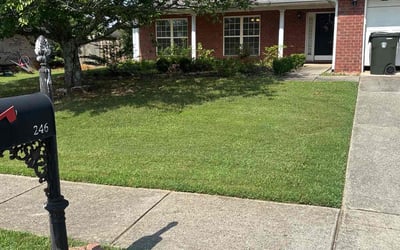 Photo of Grace W.'s yard after getting lawn care in Madison, AL