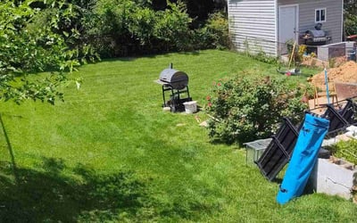 Photo of Michael B.'s yard after getting lawn care in Capitol Heights, MD