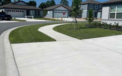 Photo of Carole P.'s yard after getting lawn care in Douglasville, GA