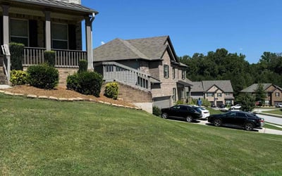 Photo of Randy A.'s yard after getting lawn care in Milpitas, CA