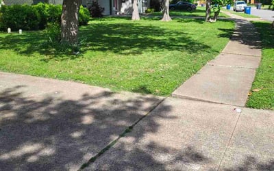 Photo of Troy M.'s yard after getting lawn care in Surprise, AZ