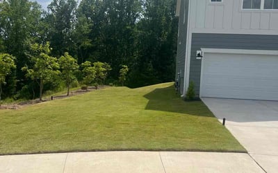 Photo of Sandra F.'s yard after getting lawn care in Sebastopol, CA