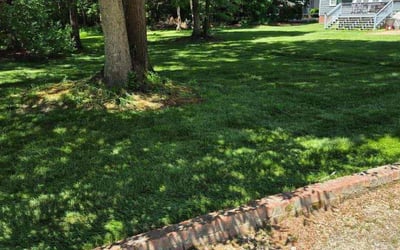 Photo of Jamie P.'s yard after getting lawn care in Maryville, TN