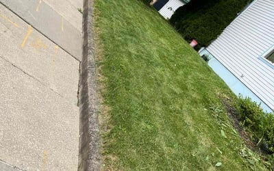 Photo of Steve V.'s yard after getting lawn care in Mc Kees Rocks, PA