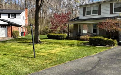 Photo of Lisa T.'s yard after getting lawn care in Highland, MI