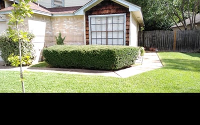 Photo of Menika B.'s yard after getting lawn care in Ankeny, IA