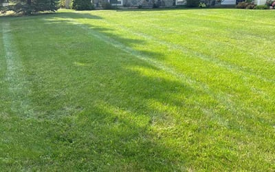 Photo of Brian H.'s yard after getting lawn care in Cedar Springs, MI