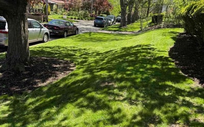 Photo of Vicki F.'s yard after getting lawn care in Connellsville, PA
