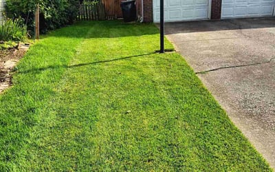 Photo of Henrietta L.'s yard after getting lawn care in Lexington, KY