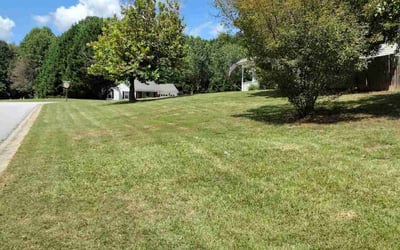 Photo of Kimberly S.'s yard after getting lawn care in Loganville, GA