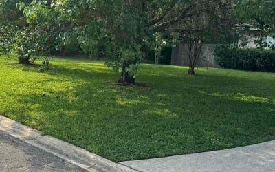 Photo of Stephanie Y.'s yard after getting lawn care in Annandale, VA