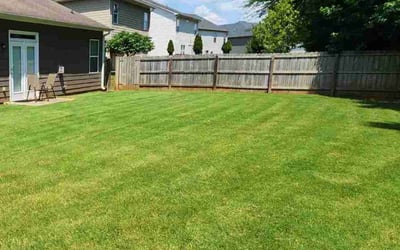 Photo of Pia S.'s yard after getting lawn care in Seattle, WA