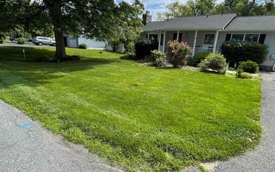 Photo of Eric W.'s yard after getting lawn care in Purcellville, VA